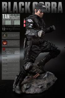 代号眼镜蛇在线观看,揭秘神秘特工的惊险任务